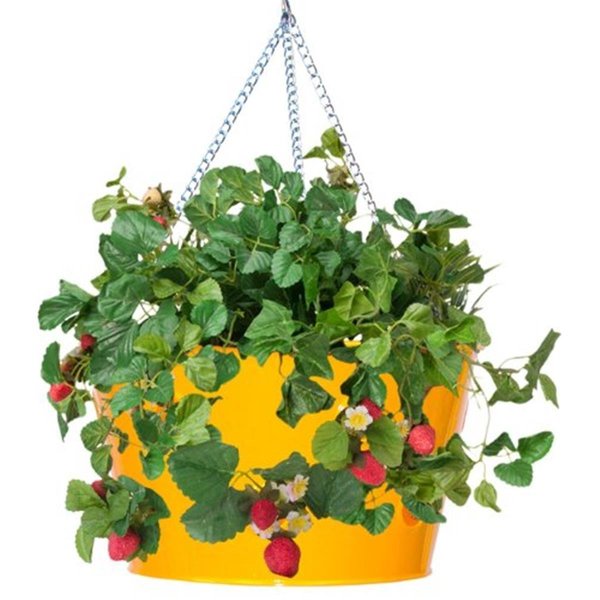 Next2Nature Enameled Galvanized Hanging Strawberry & Flower Planter, Saffron NE2588635